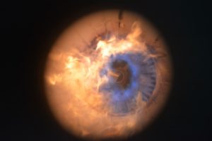 Fleeting Fiery Plumes Wallpaper