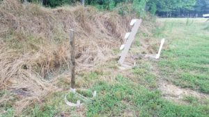 Dry Grass On The Ground